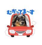 めるろーず2（個別スタンプ：11）