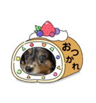 めるろーず2（個別スタンプ：14）