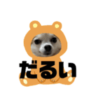 めるろーず2（個別スタンプ：16）