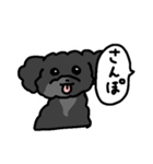 ポメチーヤマト2（個別スタンプ：2）