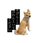 おしゃべりうめちゃん（個別スタンプ：1）