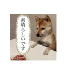 おしゃべりうめちゃん（個別スタンプ：4）