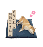 おしゃべりうめちゃん（個別スタンプ：5）