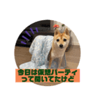 おしゃべりうめちゃん（個別スタンプ：8）