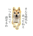 おしゃべりうめちゃん（個別スタンプ：9）