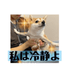 おしゃべりうめちゃん（個別スタンプ：13）