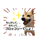 おしゃべりうめちゃん（個別スタンプ：15）