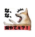 おしゃべりうめちゃん（個別スタンプ：16）