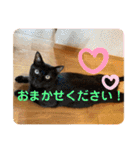 コムギヤマトト（個別スタンプ：3）