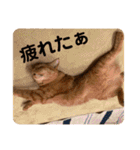 コムギヤマトト（個別スタンプ：4）