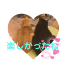 コムギヤマトト（個別スタンプ：6）