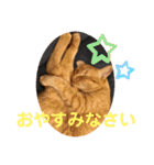 コムギヤマトト（個別スタンプ：8）