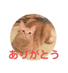 コムギヤマトト（個別スタンプ：10）