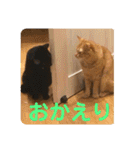 コムギヤマトト（個別スタンプ：14）