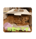 コムギヤマトト（個別スタンプ：16）