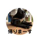 コムギヤマトト（個別スタンプ：17）