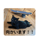 コムギヤマトト（個別スタンプ：22）