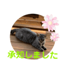 コムギヤマトト（個別スタンプ：25）