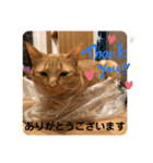 コムギヤマトト（個別スタンプ：30）