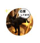 コムギヤマトト（個別スタンプ：31）