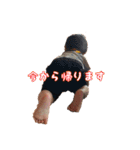 カノア8ヶ月（個別スタンプ：9）