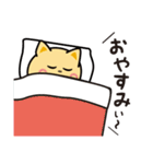 毎日使える♪三つ子のきつねこ『フリット』（個別スタンプ：25）