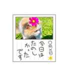 Ramsey①（個別スタンプ：2）