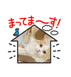 Ramsey①（個別スタンプ：6）