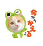 Ramsey①（個別スタンプ：8）