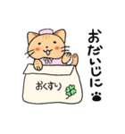 こねこ園タマちゃん 敬語（個別スタンプ：39）