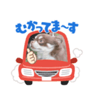 ❤️イヴとツムジ❤️（個別スタンプ：4）