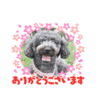 ❤️イヴとツムジ❤️（個別スタンプ：5）