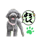 ❤️イヴとツムジ❤️（個別スタンプ：8）