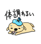 可愛い犬の生活。（個別スタンプ：8）