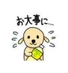 可愛い犬の生活。（個別スタンプ：9）