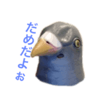 馬リリンと鳩バヤとゴールド 日常（個別スタンプ：2）