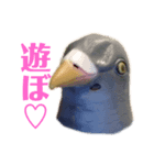馬リリンと鳩バヤとゴールド 日常（個別スタンプ：4）
