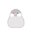 文鳥のもちもち（個別スタンプ：1）