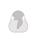 文鳥のもちもち（個別スタンプ：2）