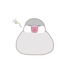 文鳥のもちもち（個別スタンプ：3）