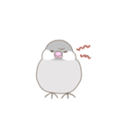 文鳥のもちもち（個別スタンプ：5）