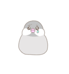 文鳥のもちもち（個別スタンプ：6）
