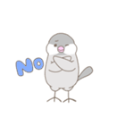 文鳥のもちもち（個別スタンプ：12）