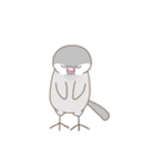 文鳥のもちもち（個別スタンプ：14）