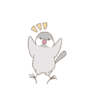 文鳥のもちもち（個別スタンプ：15）
