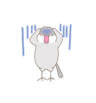 文鳥のもちもち（個別スタンプ：16）