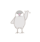 文鳥のもちもち（個別スタンプ：17）