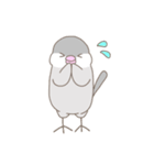 文鳥のもちもち（個別スタンプ：20）