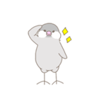 文鳥のもちもち（個別スタンプ：21）