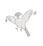 文鳥のもちもち（個別スタンプ：26）
